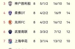 开云体育平台APP-上海申花主场大胜，积分榜上超前一步！的简单介绍