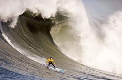 开云体育登录-公牛鏖战太阳，浓眉哥高光表现背后的攻防博弈