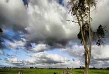 开云体育-中国队碾压日本队，桃田贤斗点燃赛场