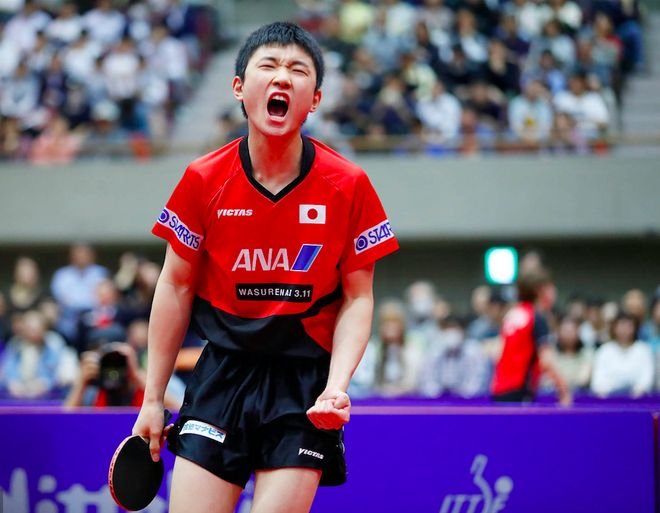 奥地利乒乓球队横扫波兰乒乓球队，张继科关键制胜的简单介绍